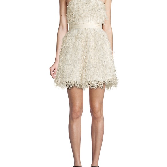 Remi Faux-Feather-Trimmed Strapless Dress - Picture 4 of 9